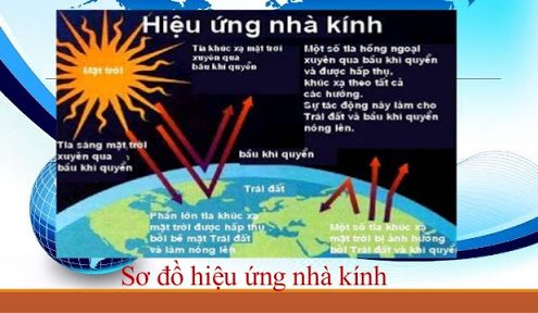 Hiệu ứng nhà kính là gì?