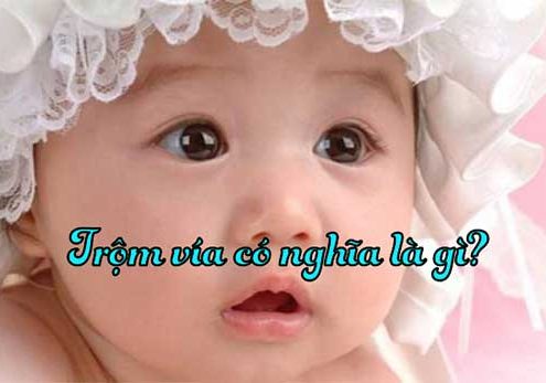 Trộm vía có nghĩa là gì?